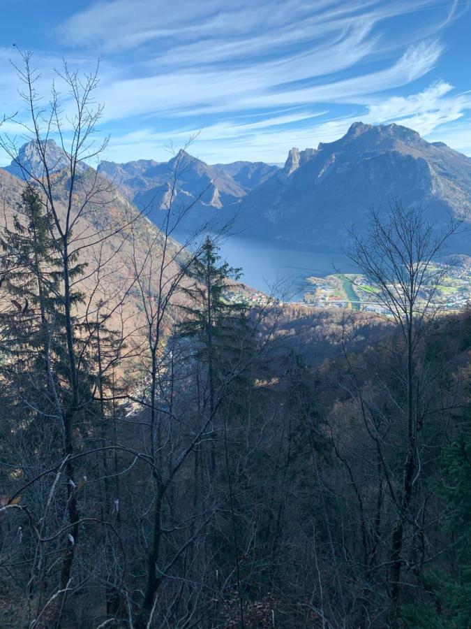 Bergglueck - Gemuetliches Appartement Am Traunsee Альтмюнстер Екстер'єр фото