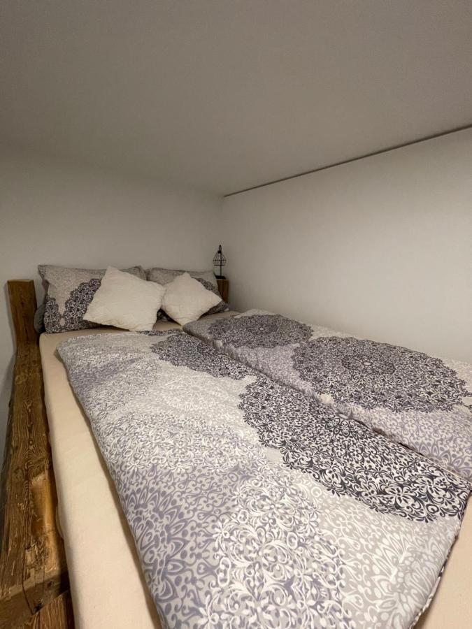 Bergglueck - Gemuetliches Appartement Am Traunsee Альтмюнстер Екстер'єр фото